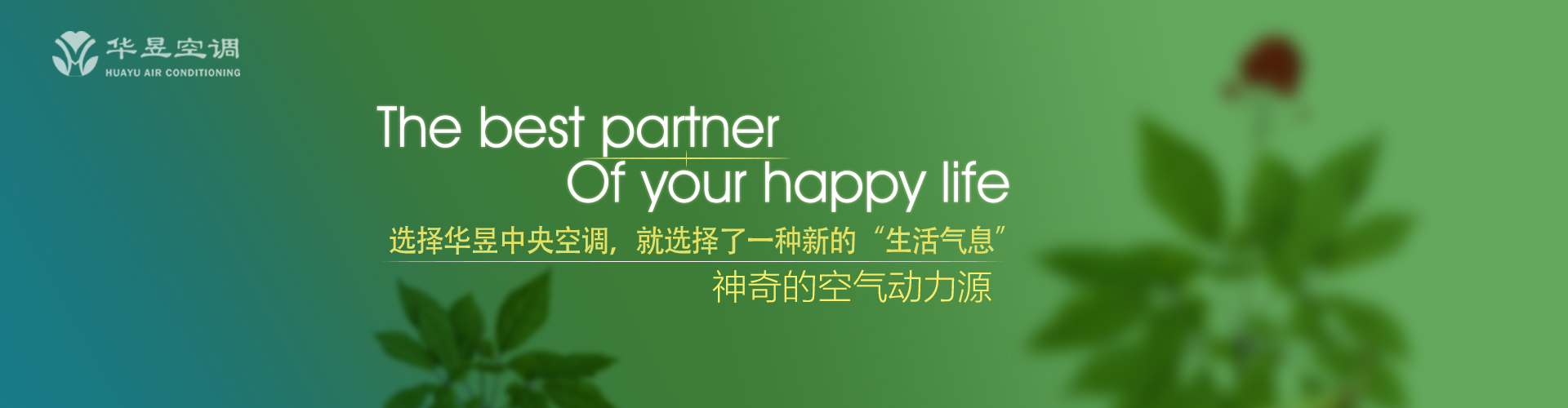 奋袂而起网